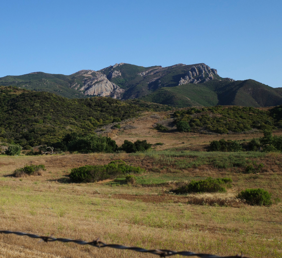 Barbed wire fence in front of a mountain ridge