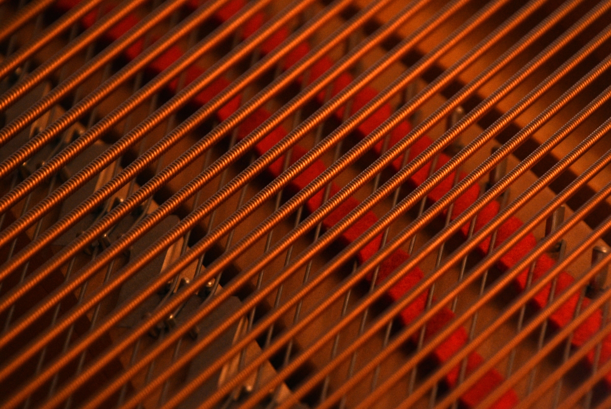 Macro of piano strings